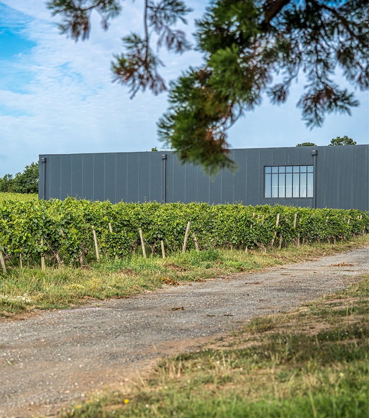 Chateau Princé le domaine