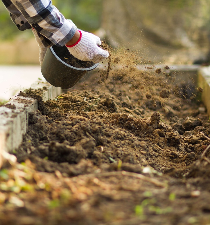 Photo RSE - Compost