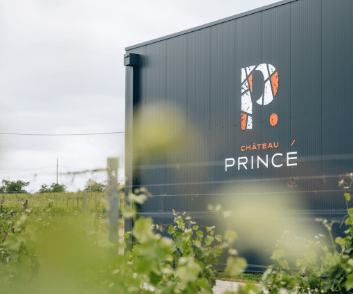 Photos-actus_site-PRINCE-1