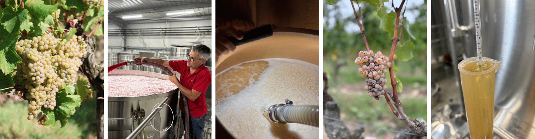 bandeau article photos